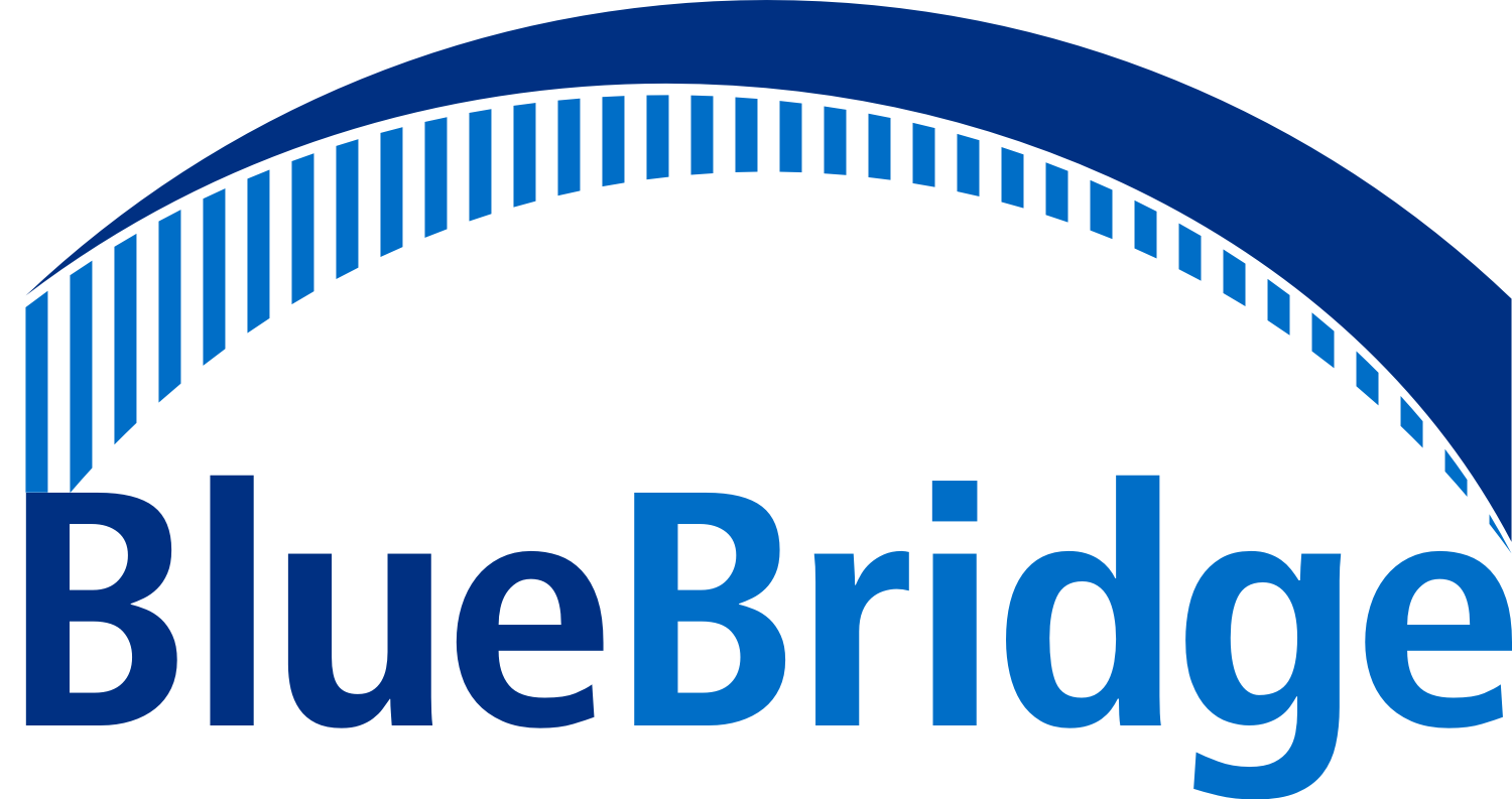 BlueBridge Networks