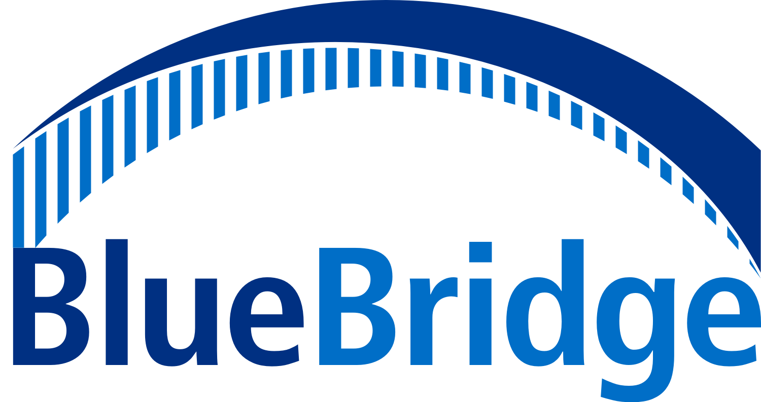 Bluebridge Networks Logo