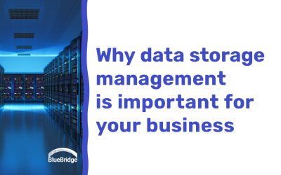 The Importance of Managing Your Data Storage