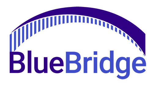 Bluebridge Networks Logo