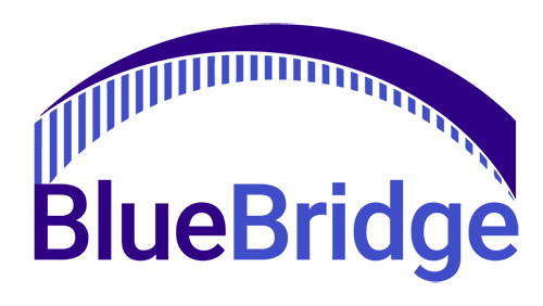 BlueBridge Networks