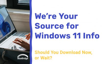 Everything You Need to Know About Windows 11